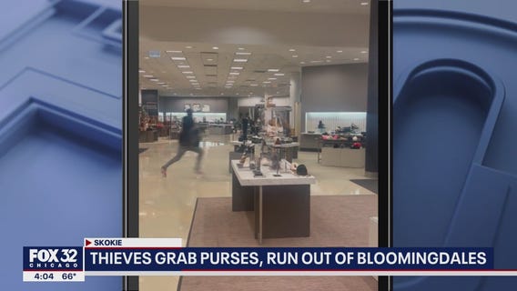 Thieves grab purses from Bloomingdale's in Skokie