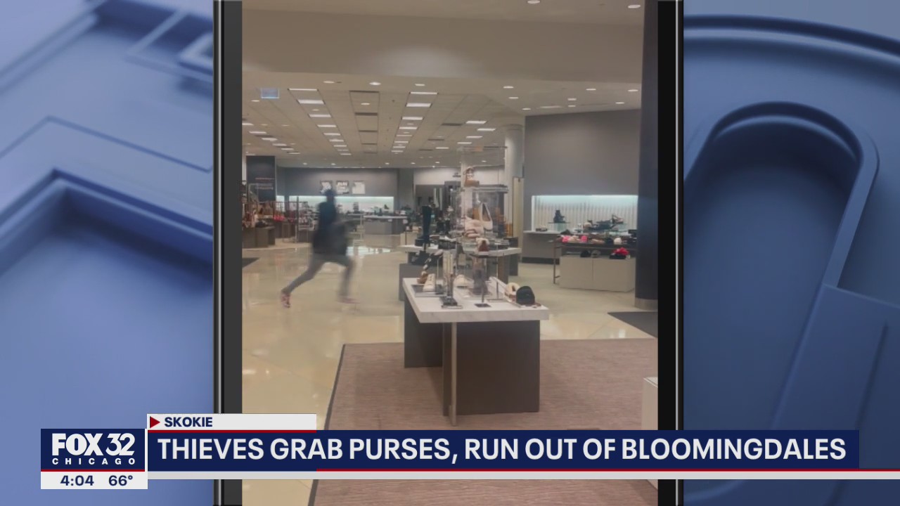 Thieves grab purses from Bloomingdale's in Skokie