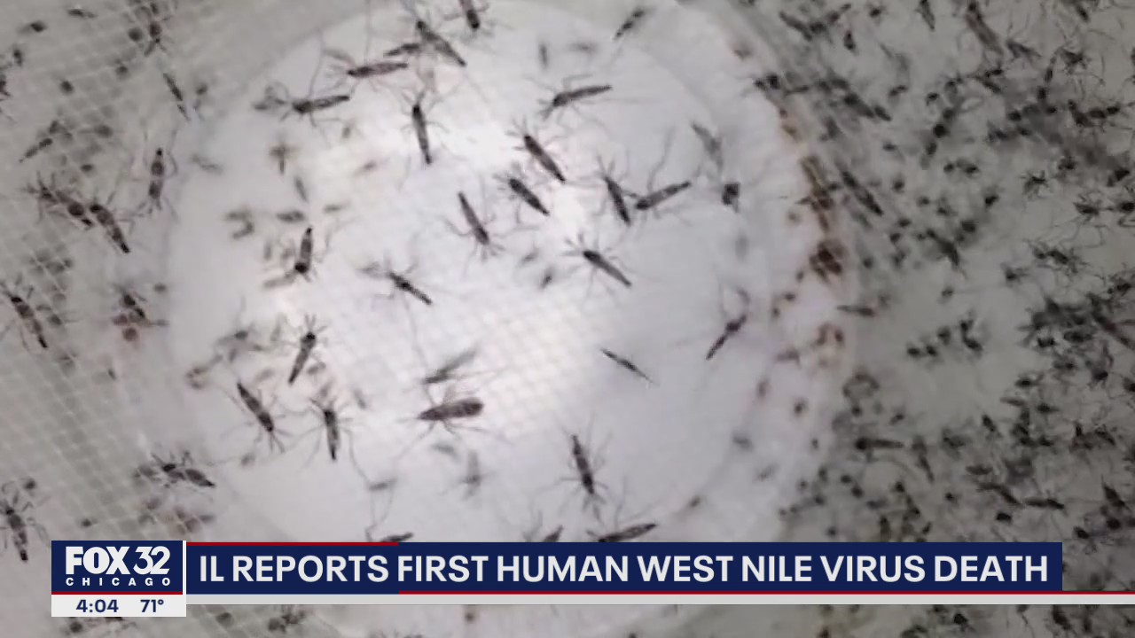 Illinois reports first human West Nile Virus death