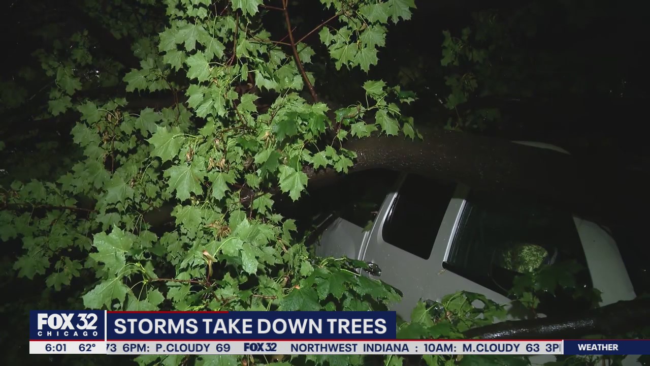 Cleanup continues across Chicago after Monday's storms uprooted trees, caused power outages
