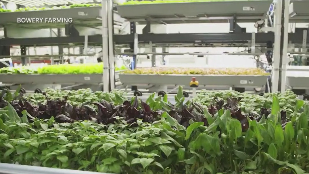 From farm to table: Climate week kicks off in NYC