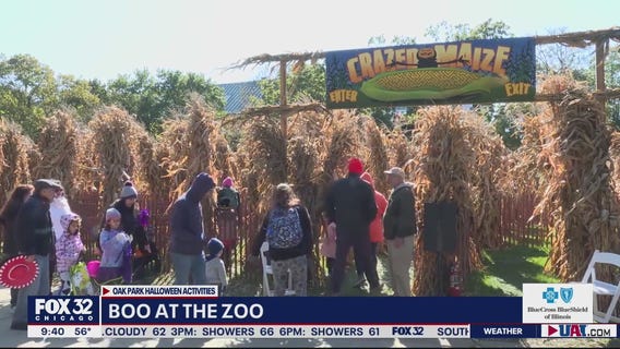 Boo at the zoo! Oak Park Halloween activities