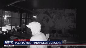 Plea to help find Pilsen burglar