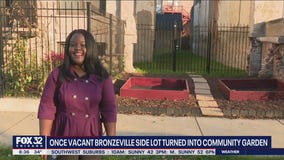 Vacant Bronzeville side lot converted into community garden