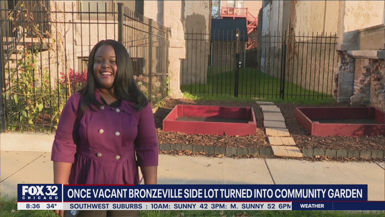 Vacant Bronzeville side lot converted into community garden