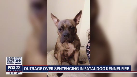 Outrage over sentencing in fatal dog kennel fire