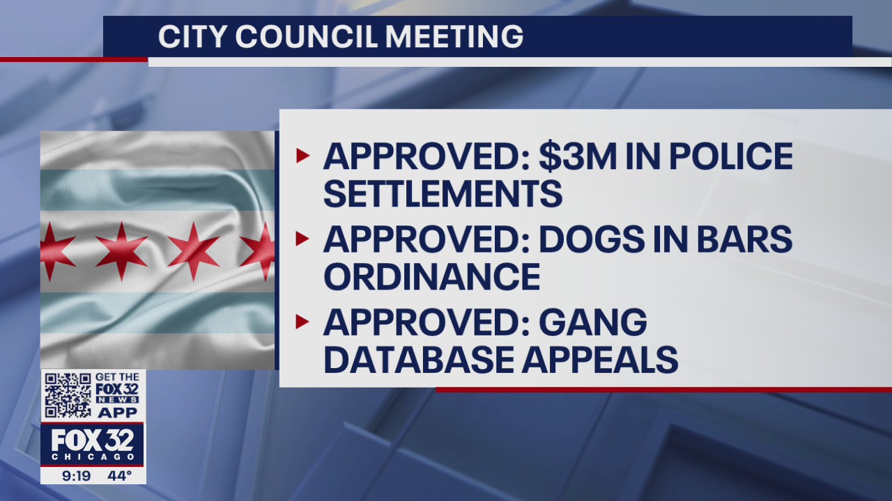 City Council approves dogs in bars, $3M in police settlements and delays nomination of COPA chief