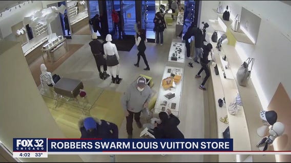 Thieves swarm Louis Vuitton store in Oak Brook