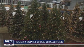 Special Report: Supply chain issues causing shortage on trees, decorations