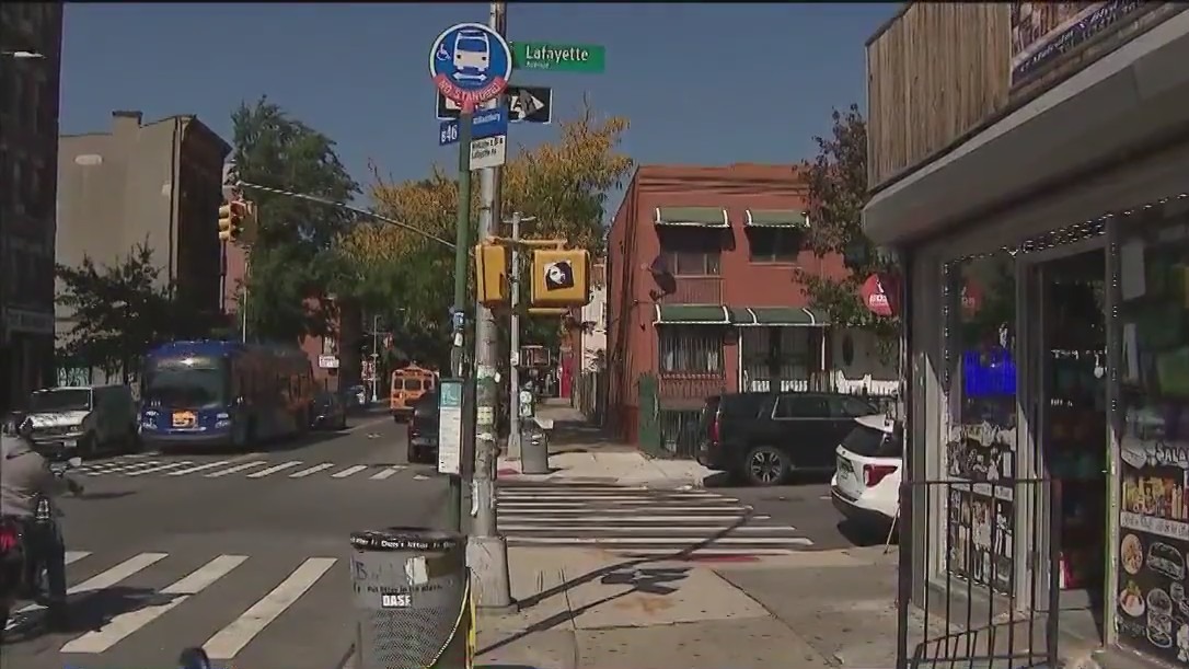 Activist stabbed to death at Brooklyn bus stop
