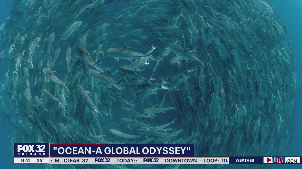 'National Geographic Ocean: A Global Odyssey' chronicles the origin of the seas and the beings that give it life