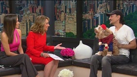 Tompkins Square Halloween Dog Parade saved