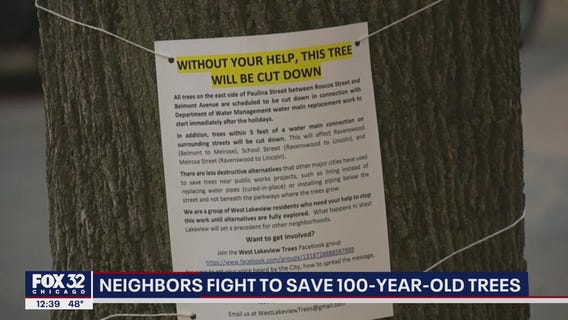 Lakeview residents fight to save 100-year-old trees
