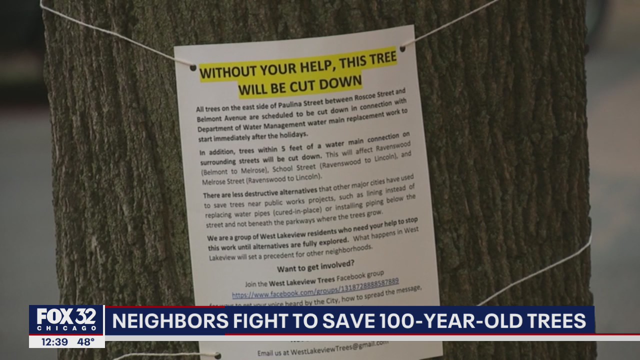 Lakeview residents fight to save 100-year-old trees
