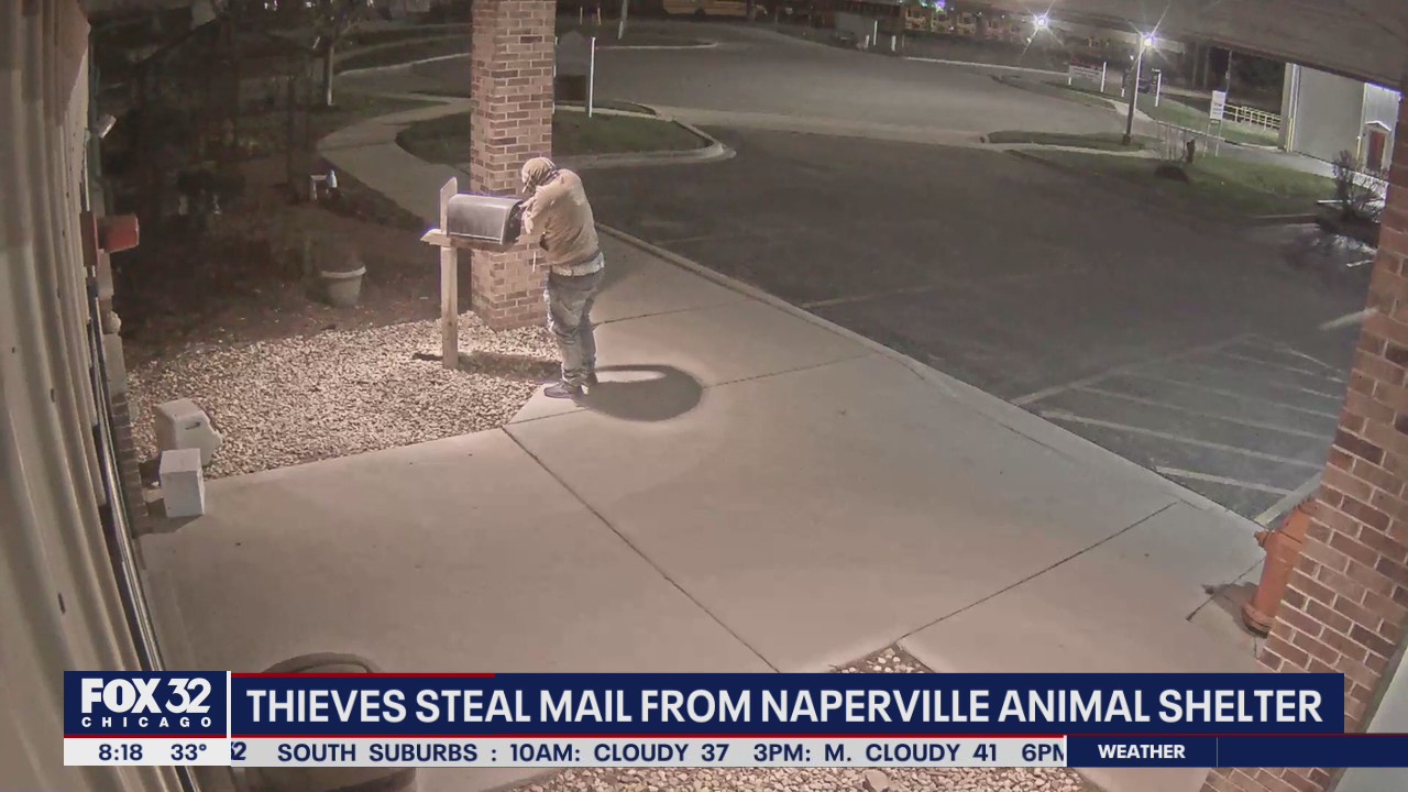 Thieves caught on video stealing mail, donations from Naperville animal shelter