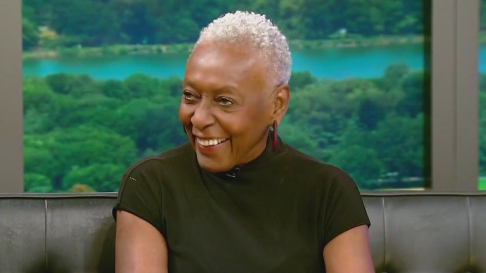 'Invisible Beauty' in theaters now