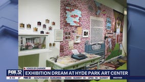 'Dream' exhibition showcases 20 artists at Hyde Park Art Center