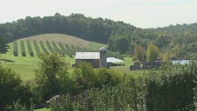 Migliorelli farm: Take a look inside