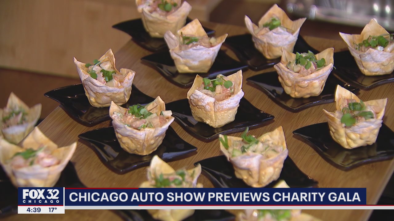 Chicago Auto Show previews charity gala