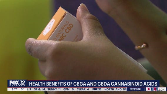 Can cannabis compounds be effective in preventing COVID infection?