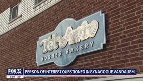 Chicago synagogue vandalism: Person of interest in custody after Jewish school, synagogues vandalized