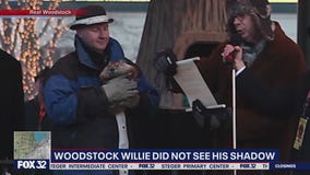 'Woodstock Willie' did not see his shadow!