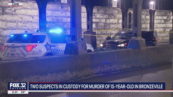 2 suspects in custody for murder of 15-year-old walking home from school