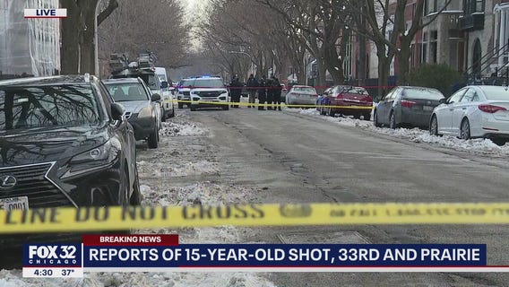 Chicago teen shot twice in head walking home from school: officials