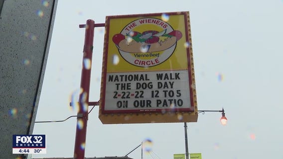 Chicago's Wieners Circle hosts 'Walk the Dog Day' celebration