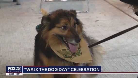 The Wieners Circle hosts ?Walk the Dog Day? celebration in Chicago