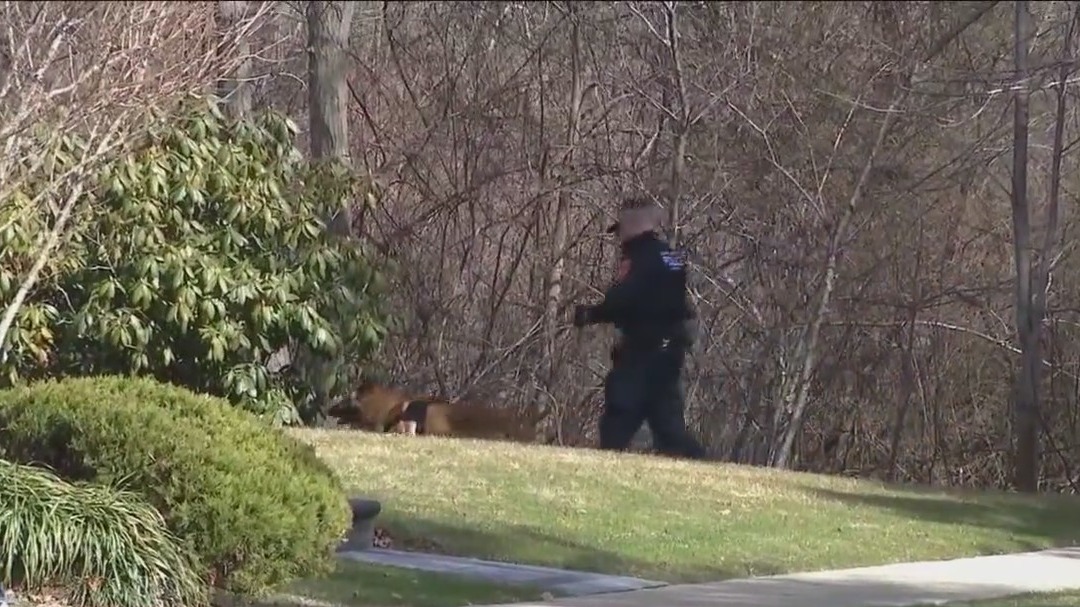 4 people arrested after body parts found on LI