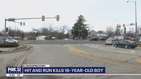 Burr Ridge hit-and-run kills 16-year-old boy