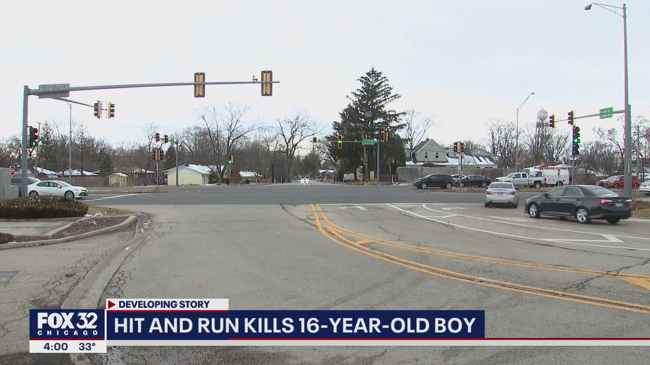Burr Ridge hit-and-run kills 16-year-old boy