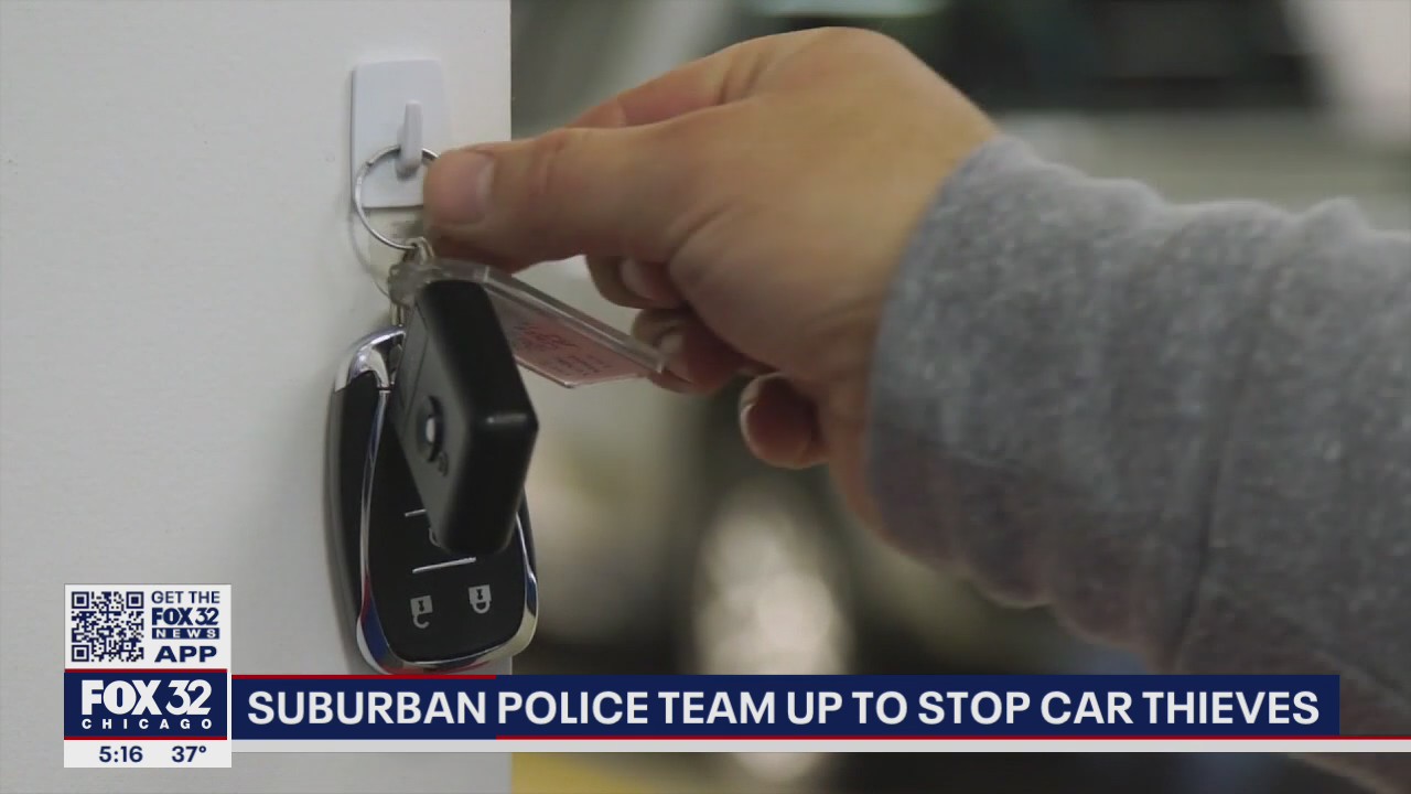 Suburban Chicago police team up to stop car thieves