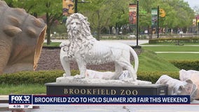 Brookfield Zoo to hold summer job fair this weekend