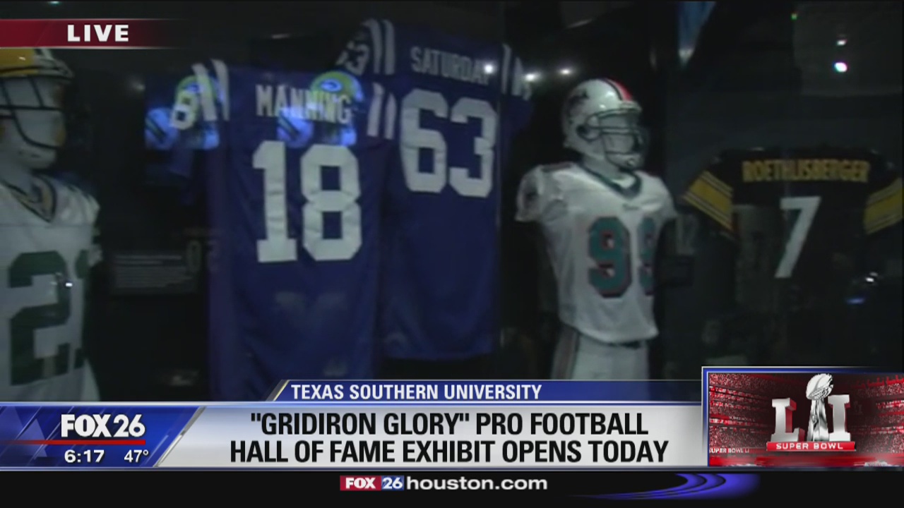 Gridiron Glory: The Best of the Pro Football Hall of Fame