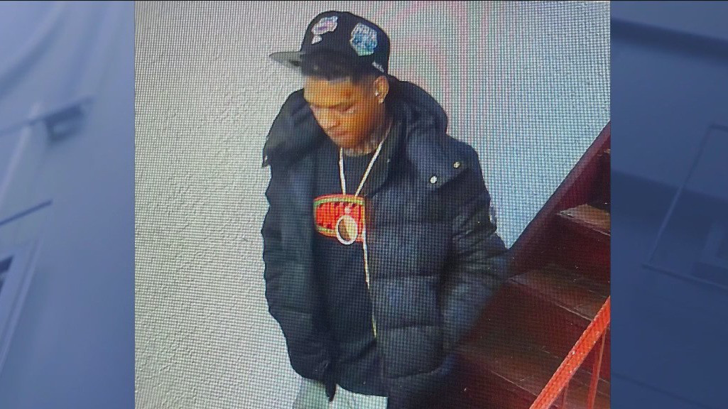 FBI New York searching for suspect