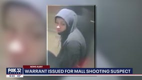 Fashion Outlets of Chicago shooting: Warrant issued for 18-year-old accused of fatally shooting man