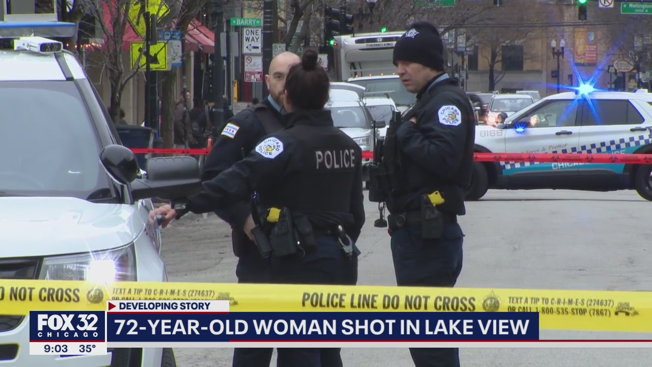 Woman, 72, shot while pushing toddler in stroller in Lake View