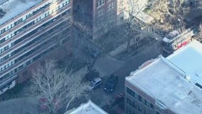 Woman killed in Lincoln Park apartment fire