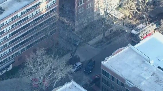 Woman killed in Lincoln Park apartment fire