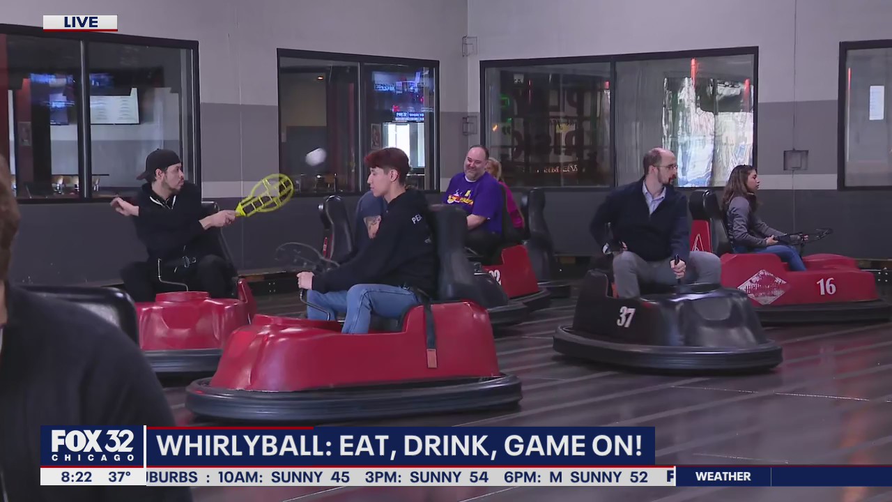 WhirlyBall offers delightful mix of bumper cars, grub and drink