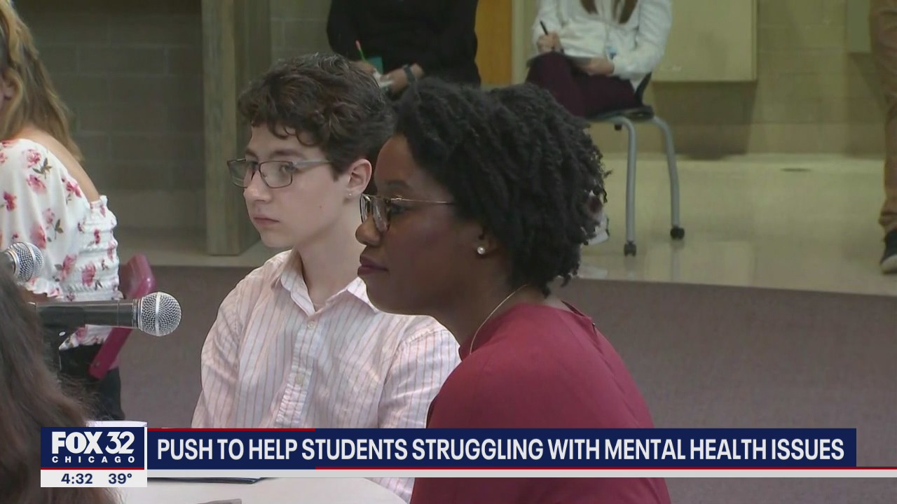Illinois lawmaker working to help students with mental health issues
