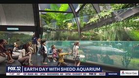 Celebrate Earth Day in style with Shedd Aquarium