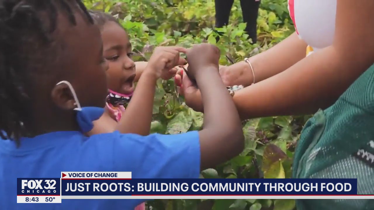Just Roots Chicago growing community and sustainability on the South Side