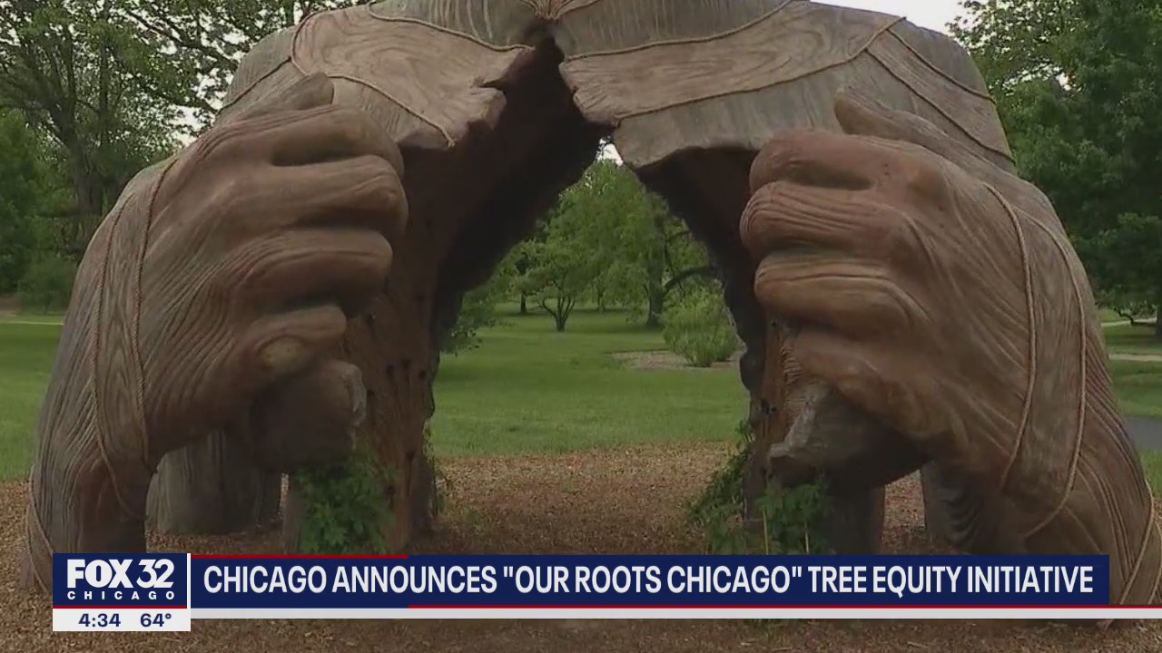 Chicago announces 'Our Roots Chicago' tree equity initiative
