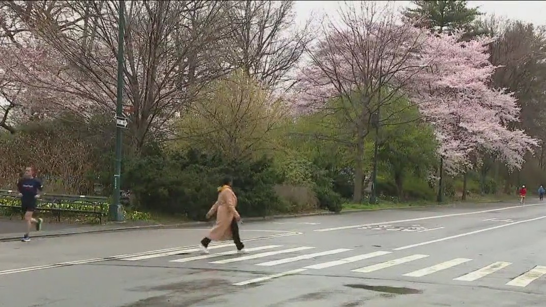 NYPD investigates rock attack in Central Park