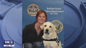 Buffalo Grove Police Department 'hires' therapy dog
