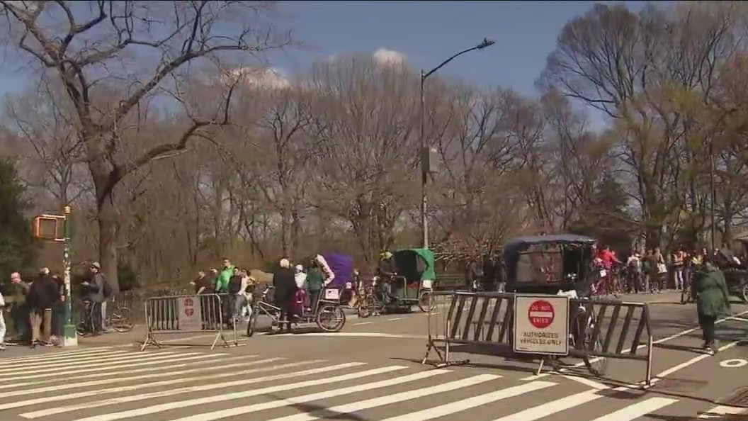 Central Park hammer and rock attacks