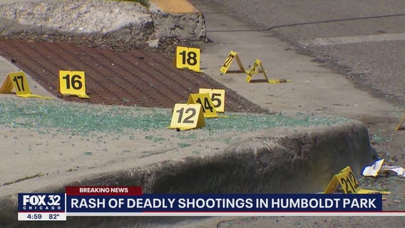 5 shot, 2 fatally, in 2 hours in Humboldt Park